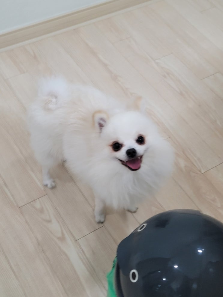  직장인 일상일기 유달산마라톤 준비 시작!