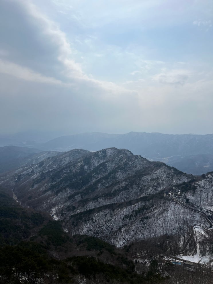 메이저리거 쇼핑