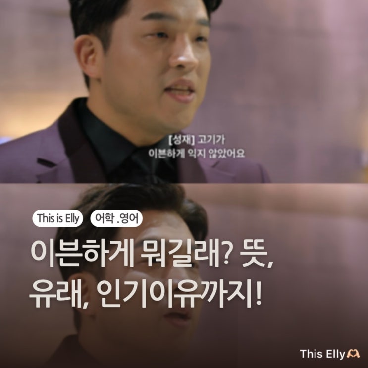  이븐하게  뭐길래? 뜻, 유래, 인기 이유까지!