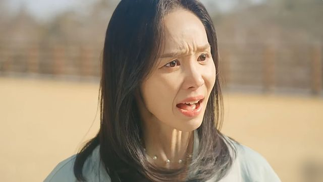 다 휩쓸었다…최고 시청률 20% 뚫고 '1위' 싹쓸이한 한국 드라마