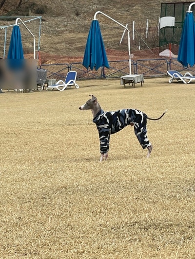 사진 6