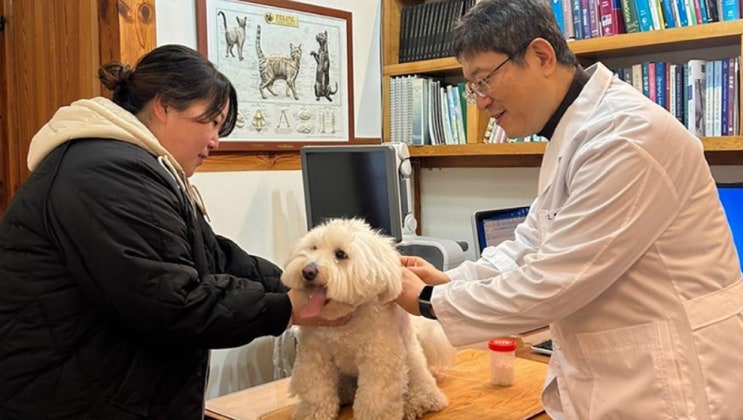 봄철 맞이 지자체 가축전염병 예방에 앞장서 [한국철도일보]