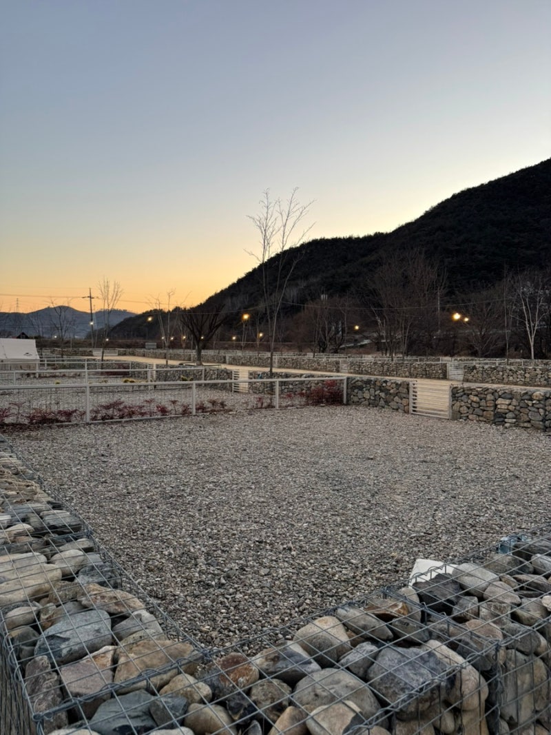 사진 2