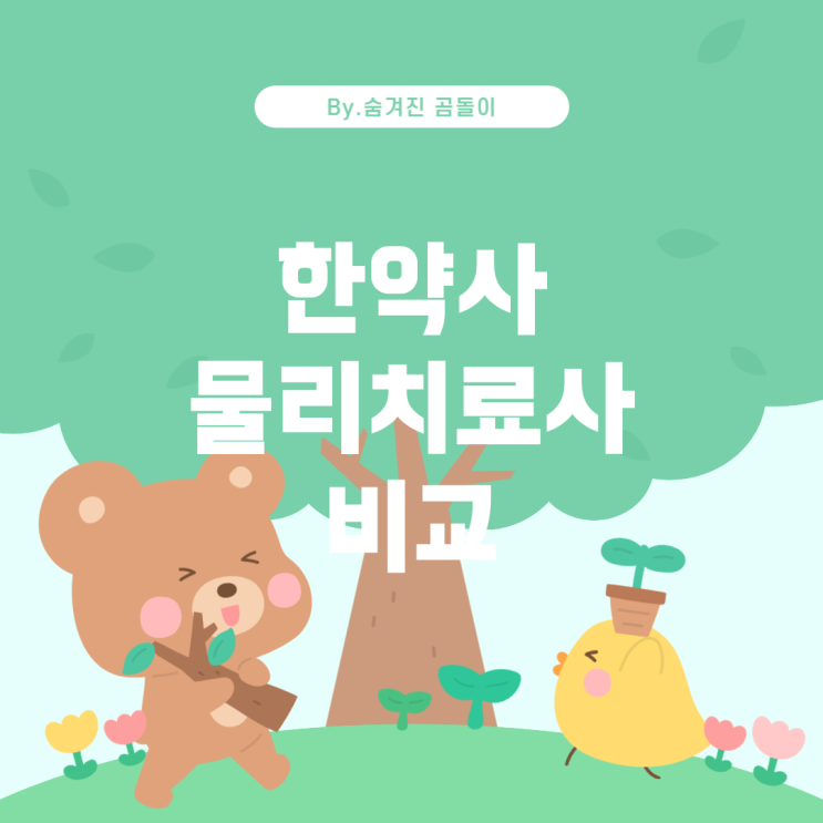  한약사와 물리치료사: 직업 비교와 선택 가이드