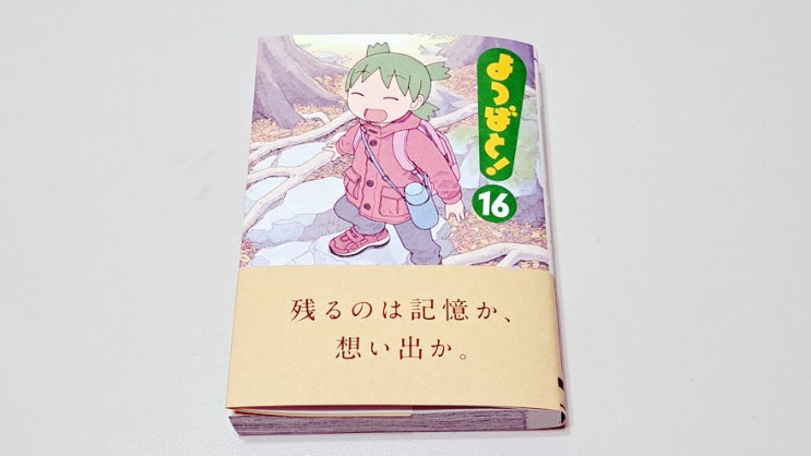 무려 4년 만에 발간된 요츠바랑 16권 구입을 하였습니다. 무려 4년 만에 발간된 요츠바랑 16권 구입을 하였습니다.