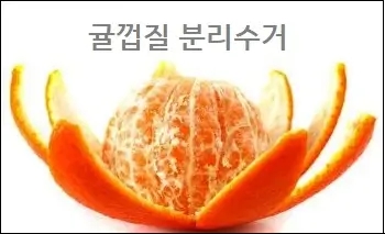  귤껍질 일반 쓰레기일까 음식물쓰레기일까 귤껍질 분리수거 알아봐요