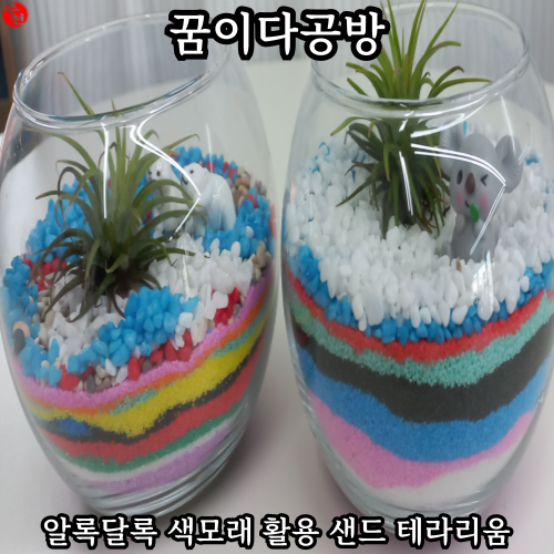 제주 공방 색모래 샌드 테라리움 9살 7살 체험 꿈이다공방