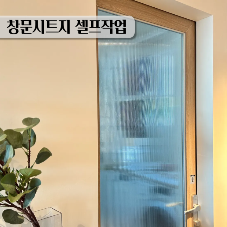  모루유리 창문시트지 셀프 작업 후기