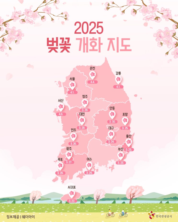  25년 벚꽃 개화시기, 대전 벚꽃 명소, 대전 벚꽃 명소 중의 명소