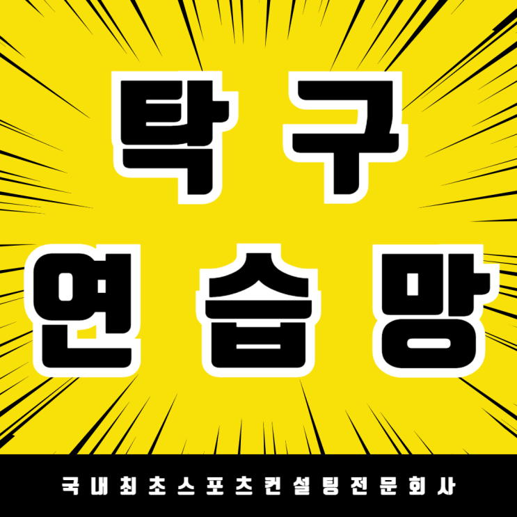 탁구장 시공부터 그물망 설치까지! 세종 노인문화센터 탁구 연습 그물망 설치 체육시설 시공 전문 업체