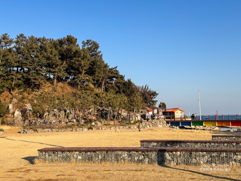 사진 6
