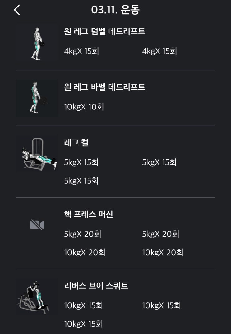  [운동일기] 77. 순한 맛 (하체)
