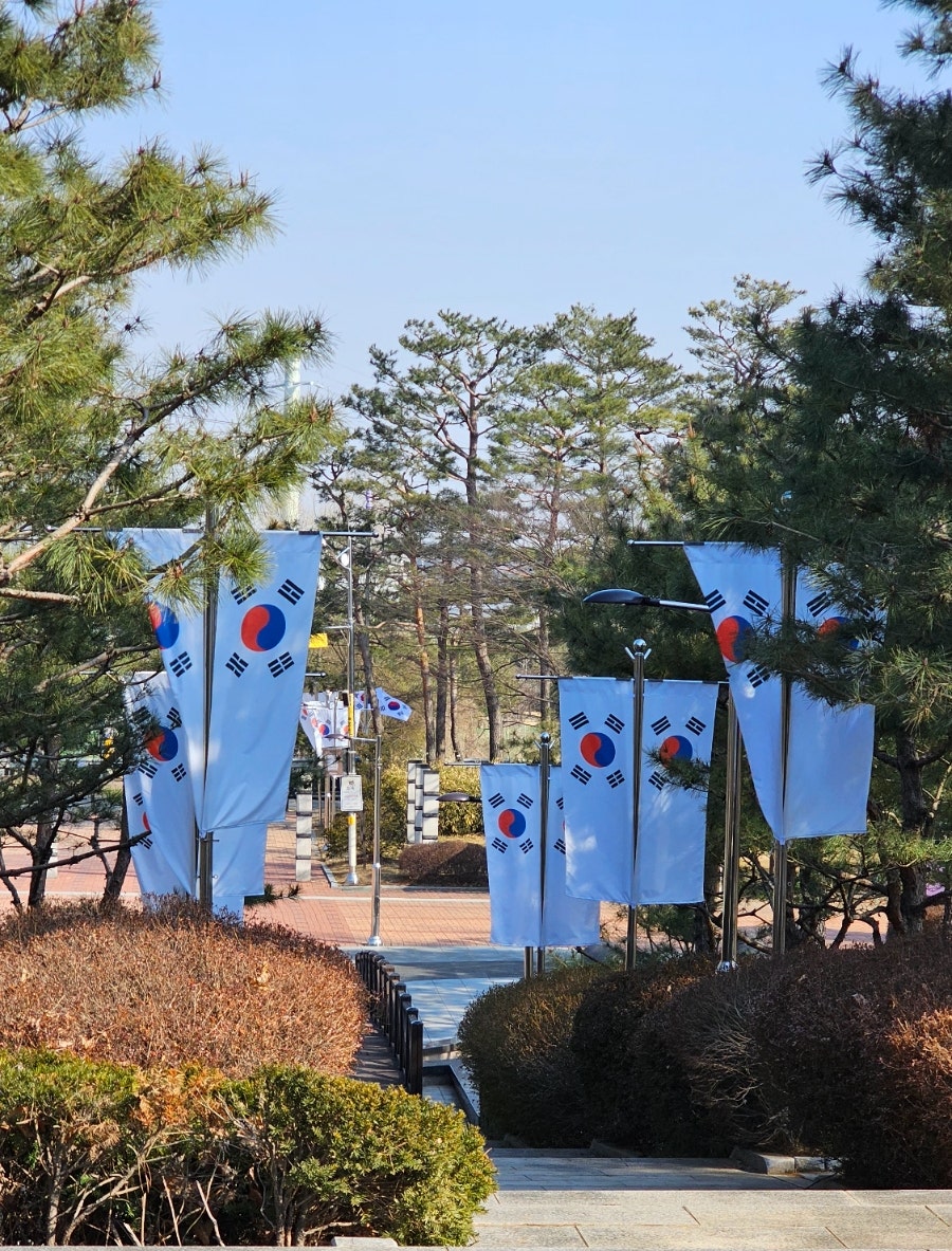 리본(Re;Born) 사진 3