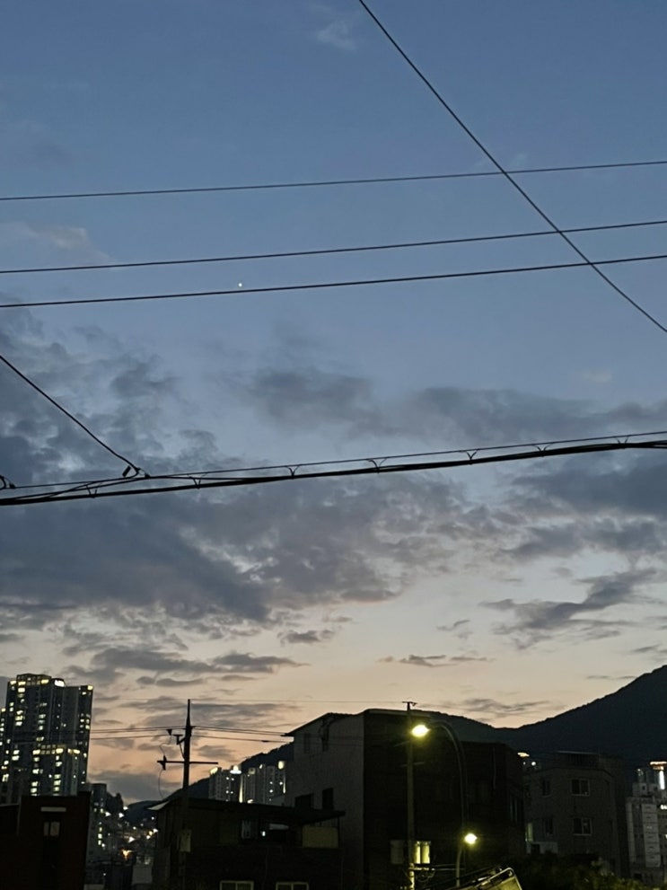  봄봄봄 봄이왔어요 ~ 봄의 시작과 함께 봄맞이 루틴