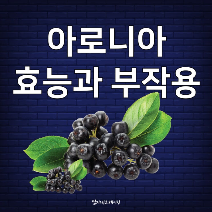  아로니아 효능과 부작용에 대한 진실