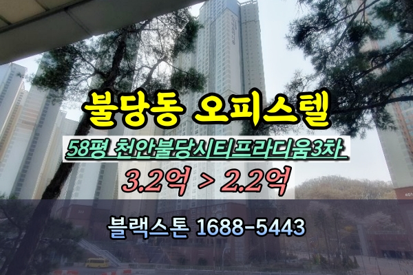  천안불당시티프라디움 3차 오피스텔 경매 58평 저층