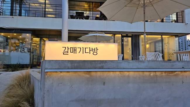 사진 8
