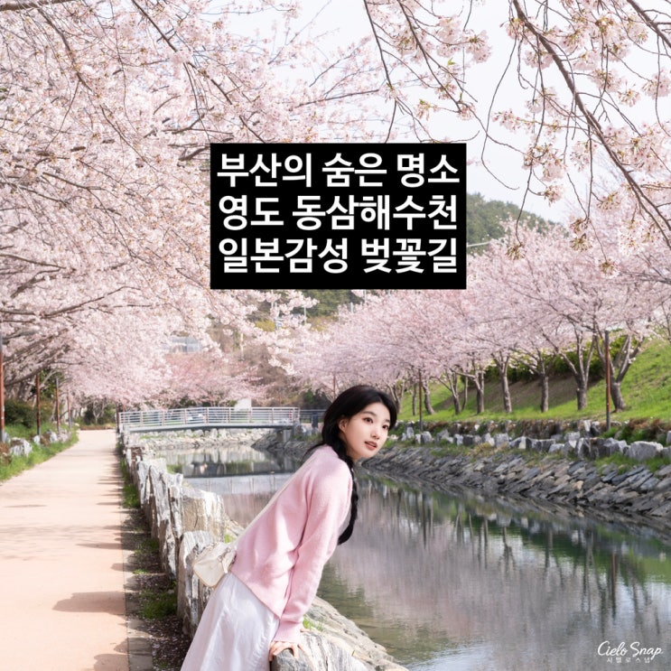  부산  숨은 벚꽃 명소 추천, 영도 동삼해수천 벚꽃 길