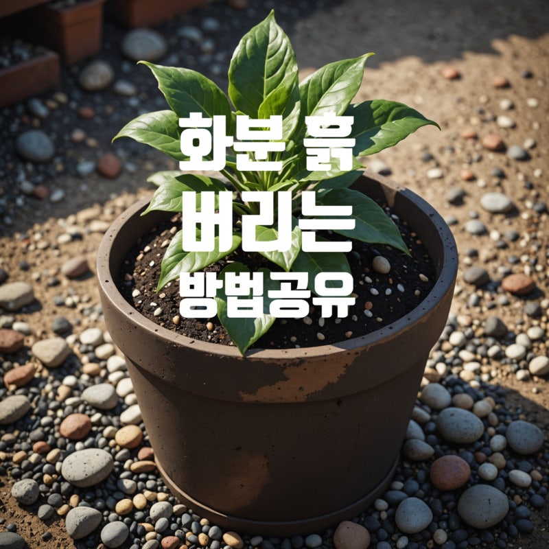 봄맞이청소 화분 흙 버리는 버릴때 불용성마대로 깨진 화분 버리는 방법