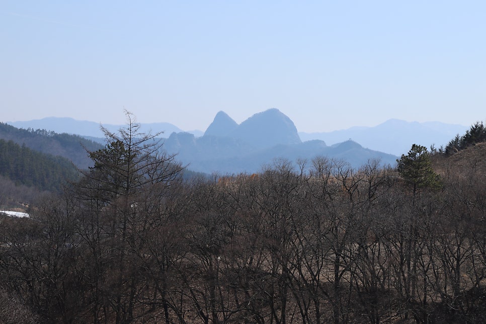 재골 사진 1