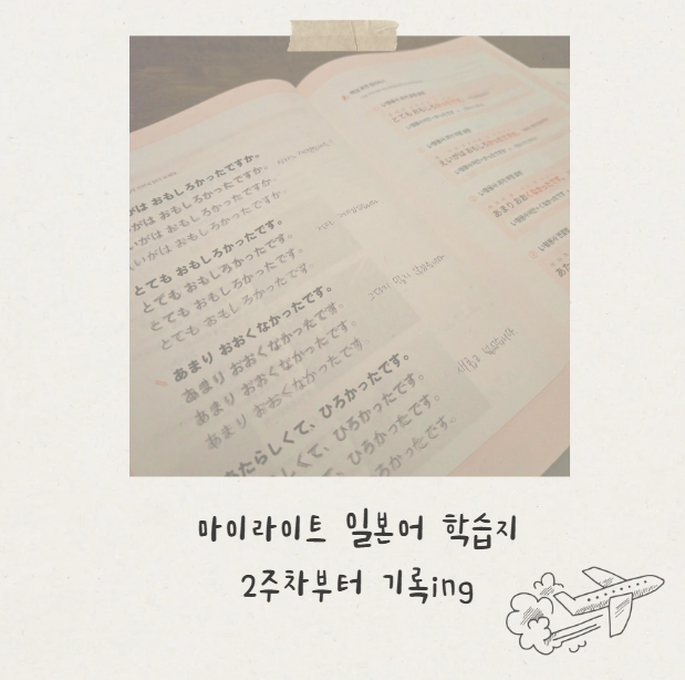  가벼운학습지 일본어 2주차 기록 성인학습지 후기