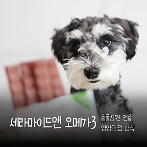 강아지 가수분해 간식 라메르 세라마이드 앤 오메가3