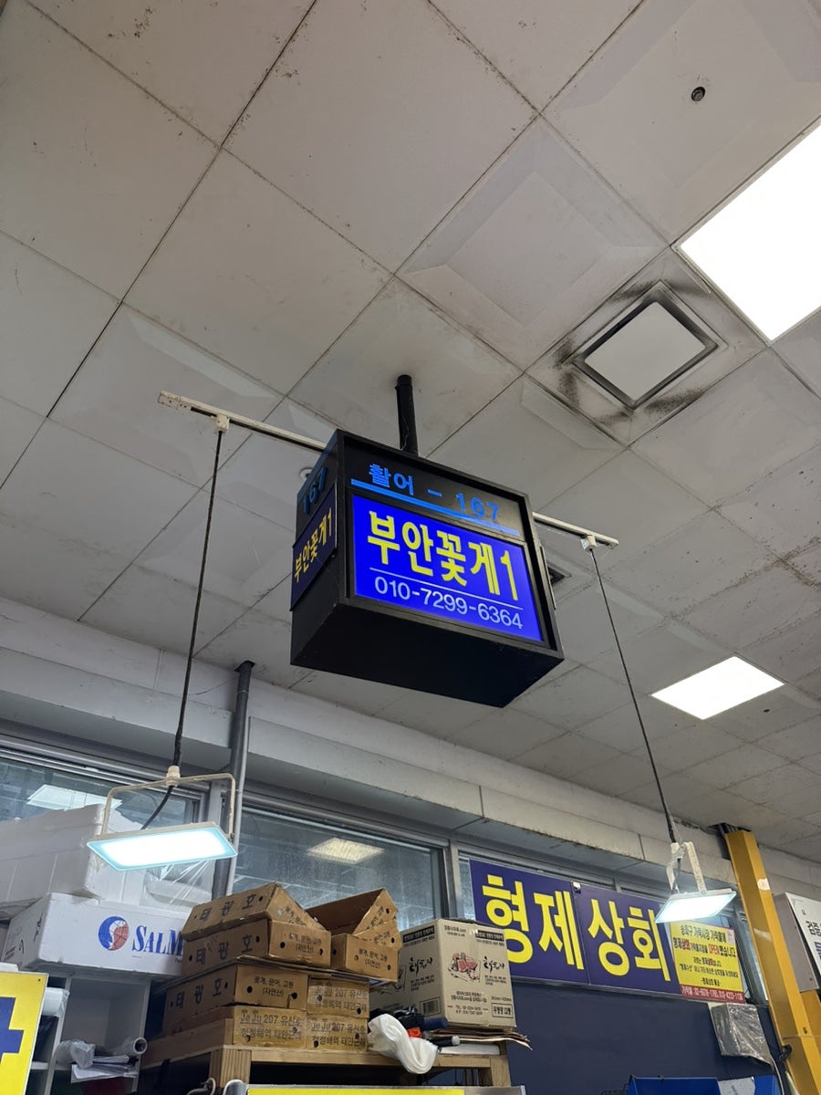 모세골황토방펜션 사진 5