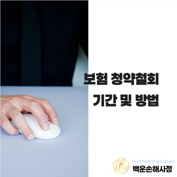  보험 청약철회 기간 및 방법