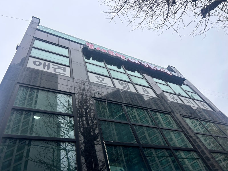 사진 4