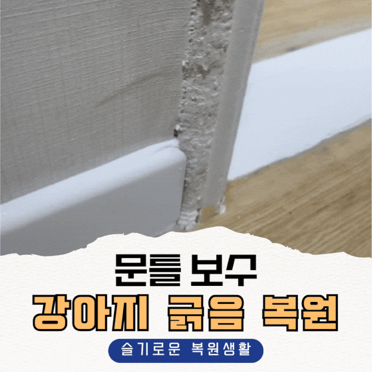  문틀보수, 강아지긁음 원상복구 후기