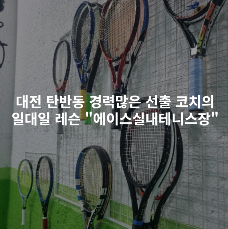  [대전 탄반동] 경력많은 선출 코치가 일대일 레슨해주는 "에이스실내테니스장"