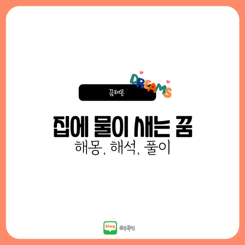 집에 물이 새는 꿈 해몽 : 천장, 벽, 바닥