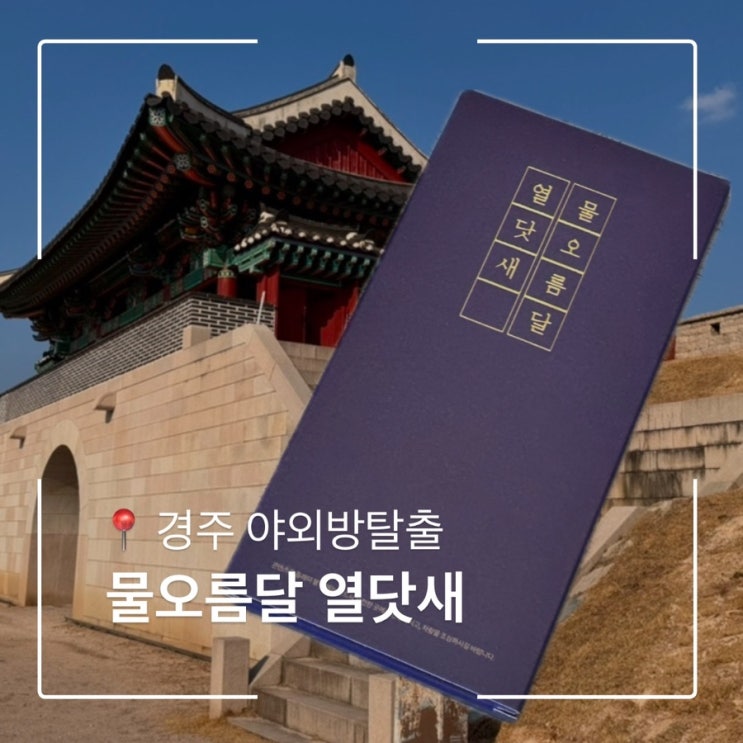  경주가볼만한곳 체험학습 추천 야외방탈출 물오름달열닷새