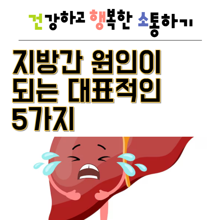  지방간 원인이 되는 대표적인 5가지