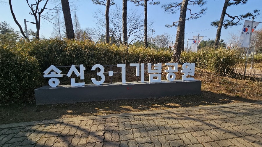 리본(Re;Born) 사진 2