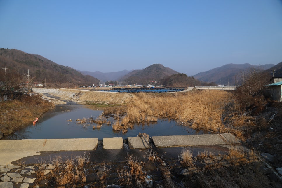 재골 사진 3