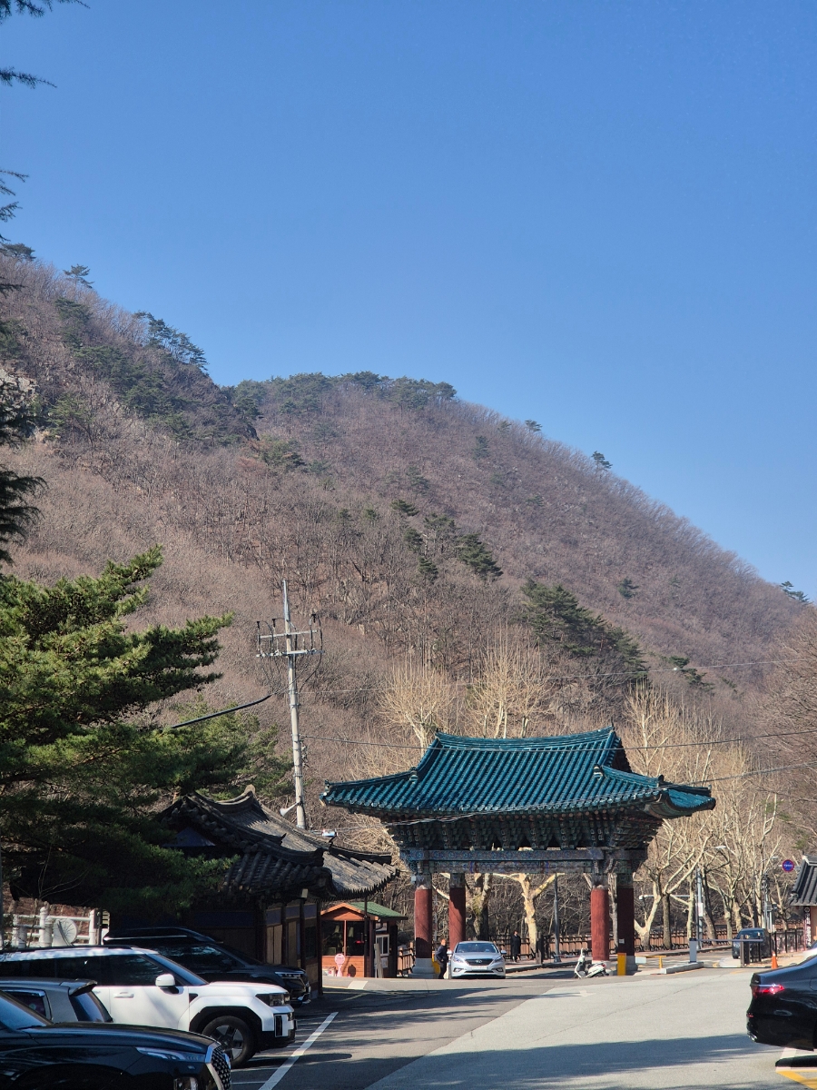 삼수왕한양족발 사진 4