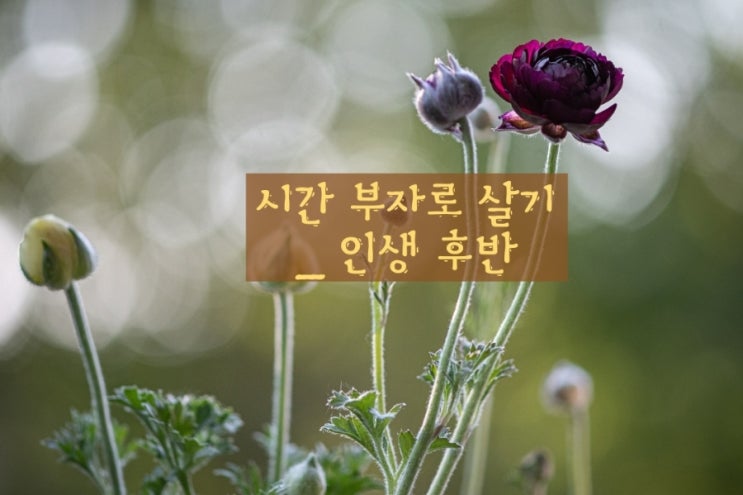 일상 에세이와 음악|인생 후반, 시간 부자로 살기 일상 에세이와 음악|인생 후반, 시간 부자로 살기