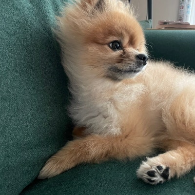 사진 9