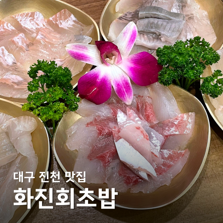  대구 진천 맛집 화진회초밥 화원 진천점 울가족 최애 대곡 횟집 술집