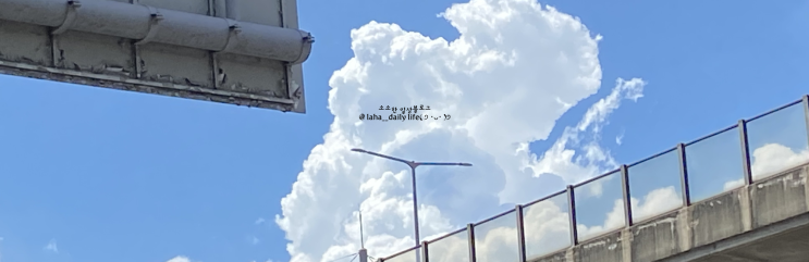  루하 블로그 안내사항
