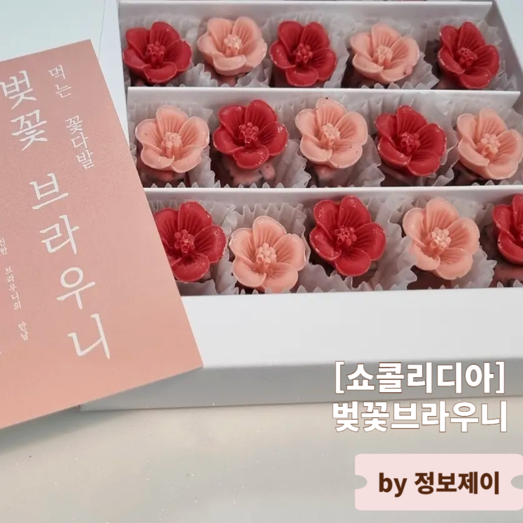  화이트데이선물 추천 수제디저트 쇼콜리디아 벚꽃브라우니