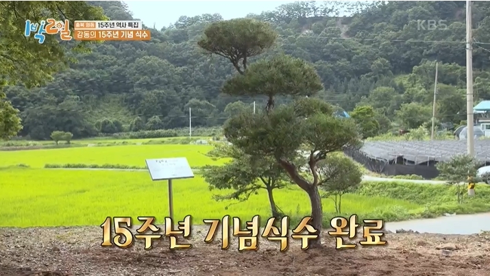 1박2일 KBS 표류기 #1