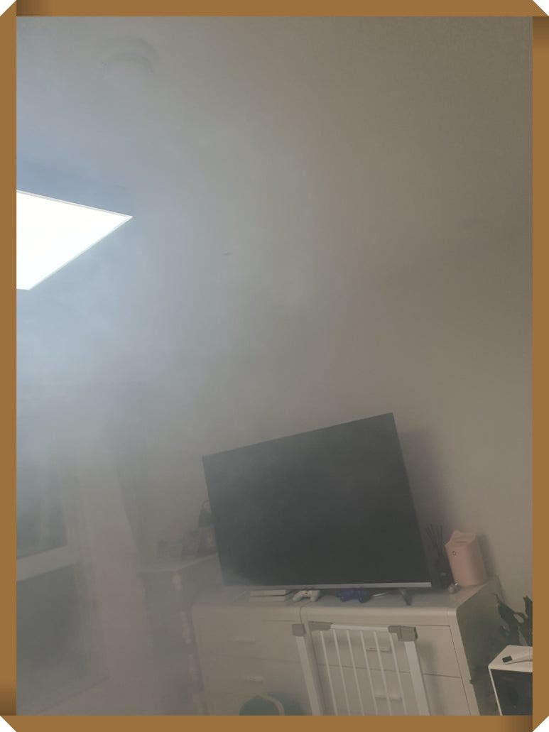 tel:15771854믿을 수 있는 부산 남포동 고양이냄새제거업체의 효과와 경험담