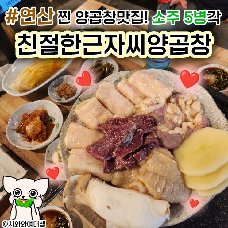  연산동양곱창 친절한 근자씨 양곱창 맛집 후기