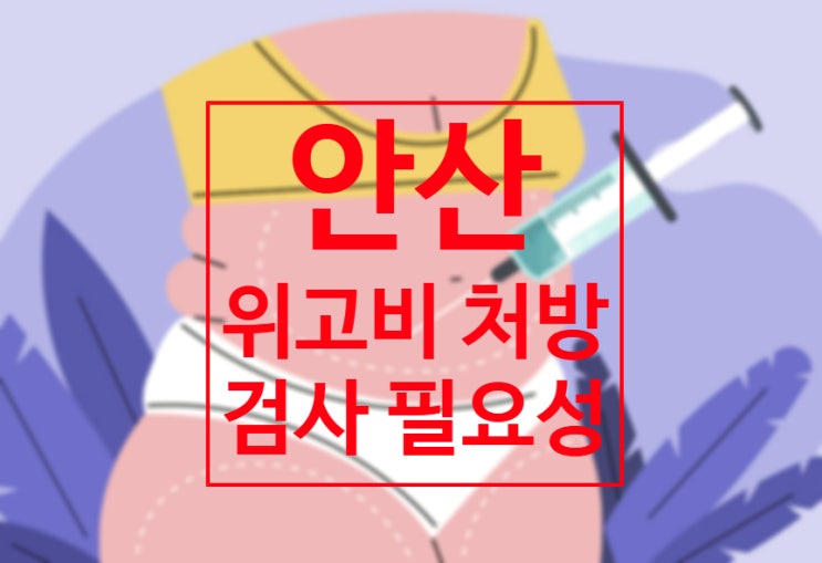  안산위고비 1.7 2.4 나눠맞기 처방 비추천 이유 아르네의원