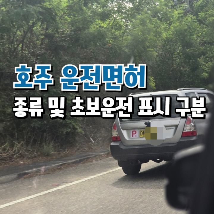  호주 운전면허 취득 방법 및 운전면허 종류(초보운전 마크 확인 방법)