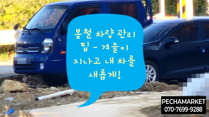  봄철 차량 관리 팁 - 겨울이 지나고 내 차를 새롭게!