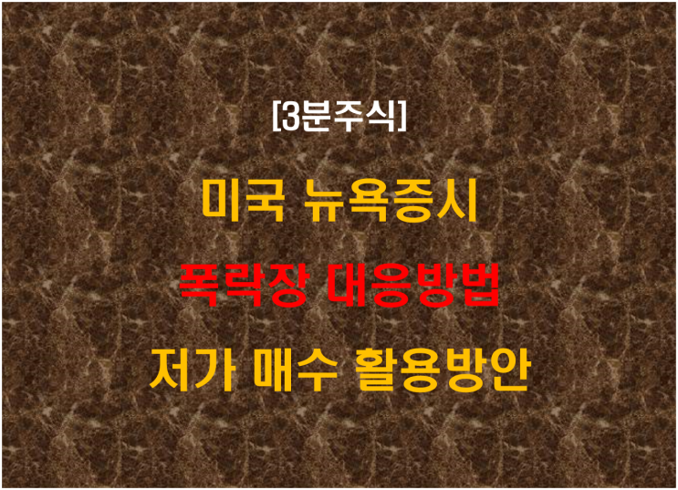  미국 뉴욕증시 폭락장 대응방법 및 저가 매수 활용방안
