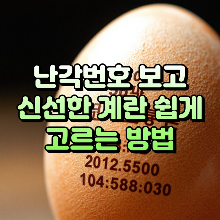  난각번호 완벽 가이드 계란 번호의 모든 것
